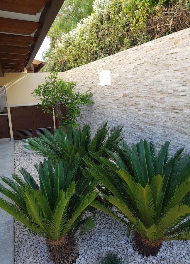 B&B Aloe Comfort Rooms San Vito Lo Capo Eksteriør bilde