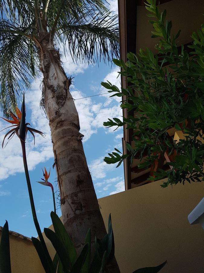 B&B Aloe Comfort Rooms San Vito Lo Capo Eksteriør bilde