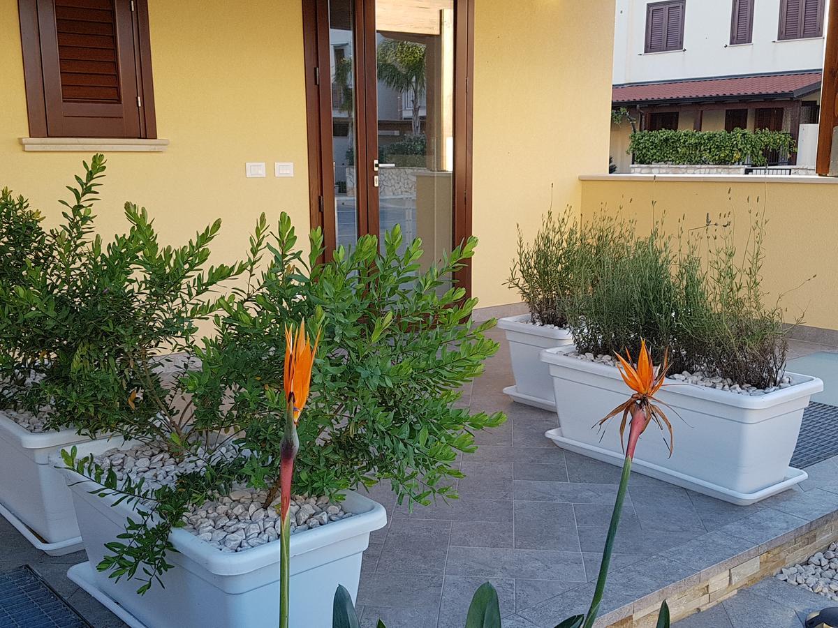 B&B Aloe Comfort Rooms San Vito Lo Capo Eksteriør bilde