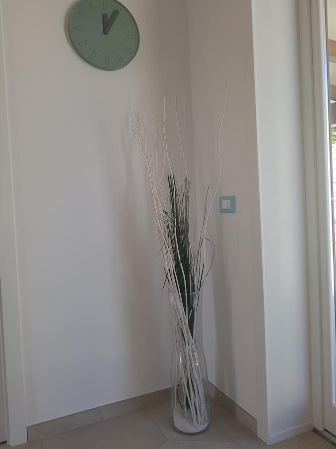 B&B Aloe Comfort Rooms San Vito Lo Capo Eksteriør bilde